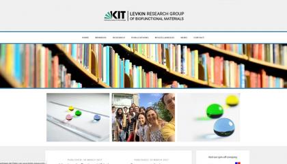 KIT Levkin Research Group